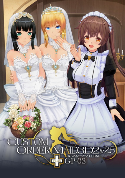 カスタムオーダーメイド3D2＆2.5＋ GP-03