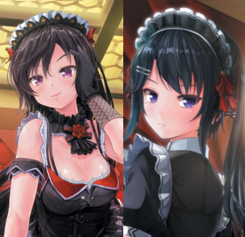 カスタムオーダーメイド3D2＆2.5 キャラクターパック M心を刺激する、ドS女王様＆警戒心の強い無愛想セット