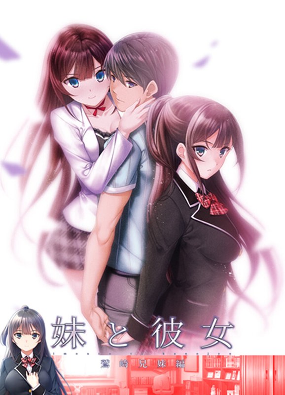 妹と彼女 鷲崎兄妹編 リニューアルパッケージ版（DVD-PG版） - アダルトアニメDVD通販 - FANZA通販