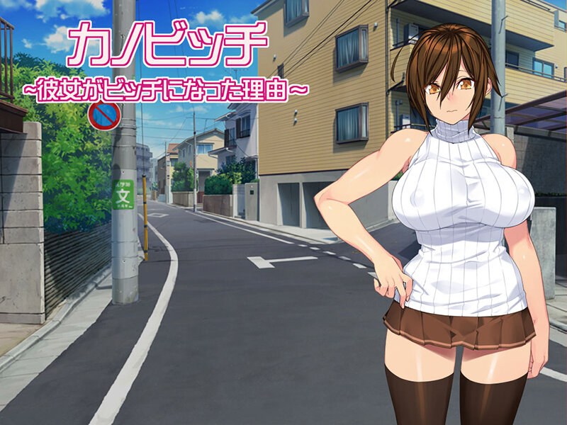 カノビッチ～彼女がビッチになった理由～ 廉価版 （DVDPG） - アダルトアニメDVD通販 - FANZA通販