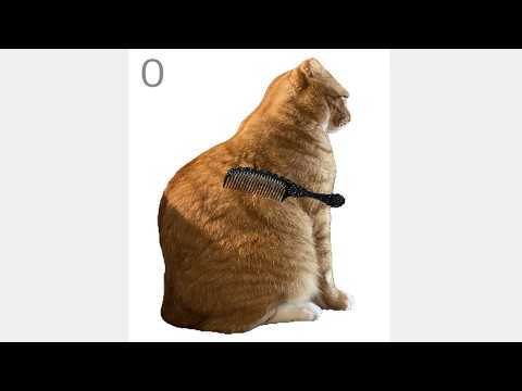 Brush Jjaemu (Horror Game) サムネイル