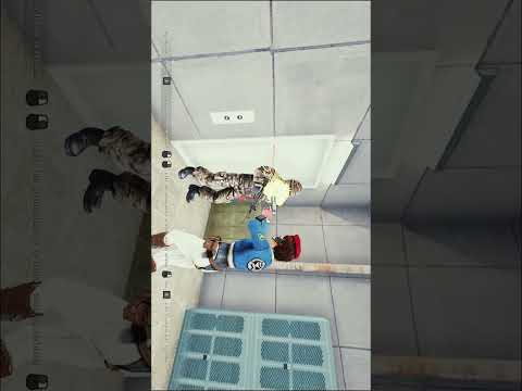 🔄 Training Room | Ground Zero #shorts サムネイル